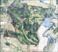 Overview of assemblage - not a survey or to scale
